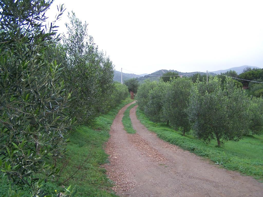 Nurazzolas Villaputzu Exterior foto